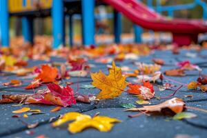 Colorful Autumn Leaves in Whimsical Pattern on Playground Floor with Natures Background photo