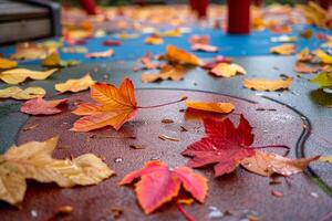 Vibrant Autumn Leaves Arranged in Whimsical Pattern on Playground Floor with Natures Background photo