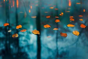 Intriguing Abstract Patterns by Floating Autumn Leaves Reflecting in Still Forest Pond   nature background photo