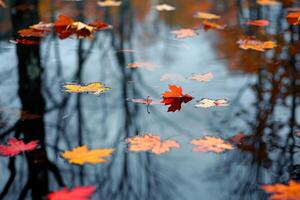 Captivating Abstract Patterns of Autumn Leaves in Still Forest Pond   nature background photo