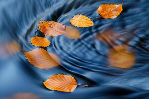 Abstract Patterns of Floating Autumn Leaves in Swirling Mountain Stream   nature background photo