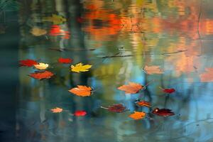 Floating Autumn Leaves Creating Abstract Patterns in Still Forest Pond   nature background photo