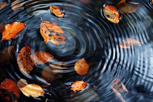 Swirling Autumn Leaves Creating Abstract Patterns in Mountain Stream   nature background photo
