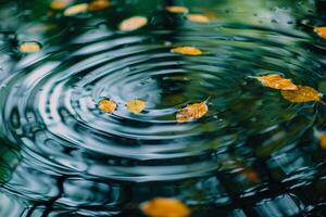 Conceptual Intriguing Abstract Patterns Created by Floating Leaves Reflected in the Rippling Water of Secluded Forest Stream   nature background photo
