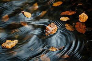Conceptual Intriguing Abstract Patterns Created by Floating Leaves Reflected in the Rippling Water of Secluded Forest Stream   nature background photo