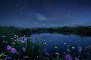 Abstract Field of Wildflowers Reflecting in Still Pond Under Starry Night Sky   nature background photo