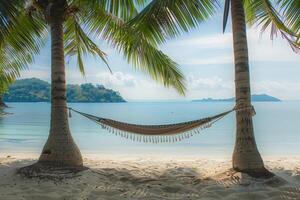 Hammock Between Two Palm Trees on Secluded Beach Overlooking Calm Azure Waters   nature background photo