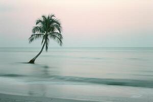 Lone Palm Tree on Quiet Beach at Dusk with Pastel Colors in the Sky and Gentle Waves Rolling Ashore   nature background photo