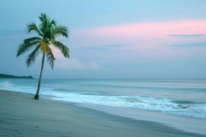 Serenity Lone Palm Tree on Quiet Beach at Dusk with Pastel Colors in the Sky and Gentle Waves Rolling Ashore  nature background photo
