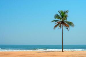 Freedom Lone Palm Tree Standing Tall on Pristine Beach with Gentle Waves and Clear Blue Skies  nature background photo