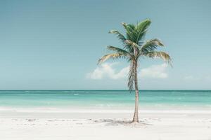 Lone Palm Tree on a Beach with Pristine White Sand and Turquoise Waves Gently Breaking on the Shore  nature background photo