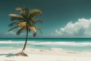 Lone Palm Tree on a Tropical Beach with White Sand and Turquoise Waves Gently Breaking on the Shore  nature background photo