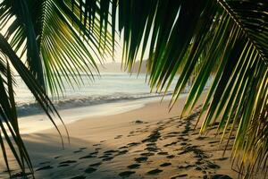 Serenity at a PalmFringed Beach with Golden Light at Sunrise Casting Long Shadows on the Sand  nature background photo