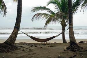 Hammock Swaying Between Two Palm Trees on a Deserted Beach with Waves Gently Breaking on the Shore  nature background photo