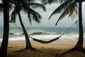 Hammock Swaying Between Two Palm Trees on a Deserted Beach with Waves Gently Breaking on the Shore  nature background photo