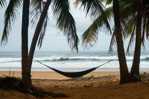 Hammock Swaying Between Two Palm Trees on a Deserted Beach with Waves Gently Breaking on the Shore  nature background photo