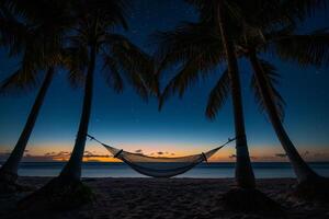Hammock Between Palm Trees on Beach at Twilight with the Last Light of Day Fading into Starry Night nature background photo
