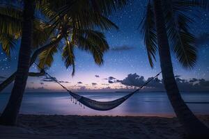 Hammock Between Palm Trees on Beach at Twilight with the Last Light of Day Fading into Starry Night nature background photo