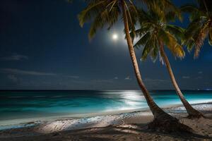 Dreamy Palm Trees Swaying in the Gentle Breeze on Moonlit Beach with the Moon Reflected on the Calm Ocean nature background photo