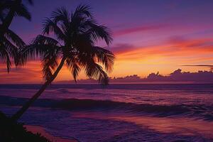 Twilight Sky with Palm Trees and Calm Waves Gently Washing Ashore nature background photo