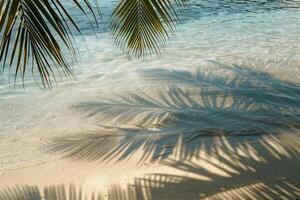 Palm Fringed Beach Under the Midday Sun with Clear Azure Waters and Palm Shadows on the Sand photo