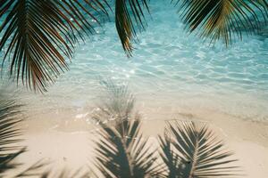 Palm Fringed Beach Under the Midday Sun with Clear Azure Waters and Palm Shadows on the Sand photo