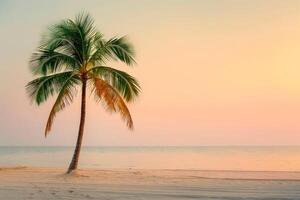 Lone Palm Tree on Deserted Beach at Dusk with Orange Hues in Sky and Calm Waters photo