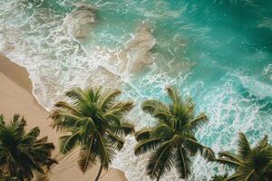 Refreshing Palm Trees Swaying Gently on Sandy Beach with Turquoise Waves Breaking on the Shore photo