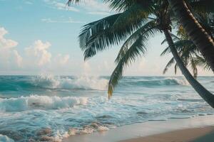 Refreshing Palm Trees Swaying in the Breeze on Sandy Beach with Gentle Waves Rolling Ashore photo