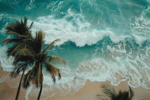 Refreshing Palm Trees Swaying Gently on Sandy Beach with Turquoise Waves Breaking on the Shore photo