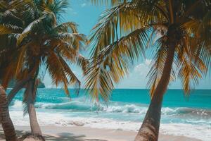 Refreshing Palm Trees Swaying Gently on Sandy Beach with Turquoise Waves Breaking on the Shore photo