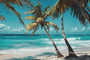 Refreshing palm trees swaying in the breeze on sandy beach with turquoise waves nature background photo