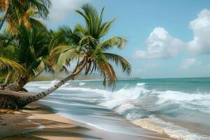 Refreshing palm trees swaying in the breeze on sandy beach with gentle waves rolling ashore nature background photo