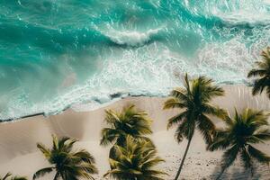 Refreshing Palm Trees Swaying Gently on Sandy Beach with Turquoise Waves Breaking on the Shore photo