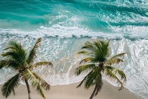 Refreshing palm trees swaying gently on sandy beach with turquoise waves breaking on the shore nature background photo