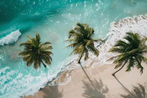 Refreshing palm trees swaying gently on sandy beach with turquoise waves breaking on the shore nature background photo