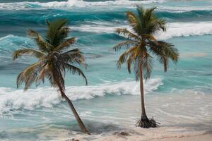 Refreshing palm trees swaying in the breeze on sandy beach with turquoise waves nature background photo