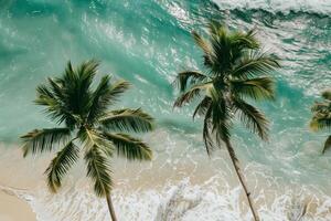 Refreshing palm trees swaying gently on sandy beach with turquoise waves breaking on the shore nature background photo