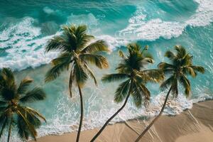 Refreshing palm trees swaying gently on sandy beach with turquoise waves breaking on the shore nature background photo