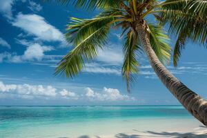 Coconut palm trees swaying gently in the breeze against clear azure sky and turquoise ocean nature background photo
