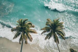 Refreshing palm trees swaying gently on sandy beach with turquoise waves breaking on the shore nature background photo