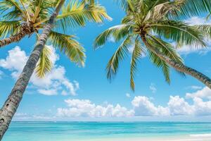 Coconut palm trees swaying gently in the breeze against clear azure sky and turquoise ocean nature background photo