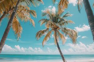 Coconut palm trees swaying gently in the breeze against clear azure sky and turquoise ocean nature background photo