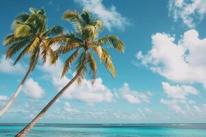 Coconut palms in a breezy tropical setting with azure sky and turquoise ocean nature background photo