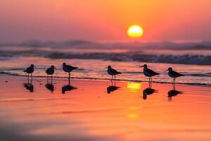 Serene beach with tide pools reflecting sunset and silhouettes of seabirds nature background photo