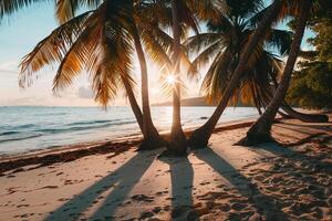 Sunset at Tropical Beach with Palm Trees and Long Shadows Vibrant nature background photo