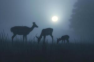Moonlight Filtering Through Mist Casting Silver Glow on Family of Deer Grazing in Meadow Background in Nature photo
