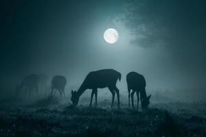 Moonlight Filtering Through Mist Casting Silver Glow on Family of Deer Grazing in Meadow Background in Nature photo