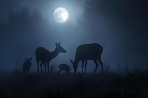 Moonlight Casting Silver Glow on Family of Deer Grazing in Meadow Background in Nature photo