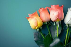 Rose Background of Spring Flowers photo